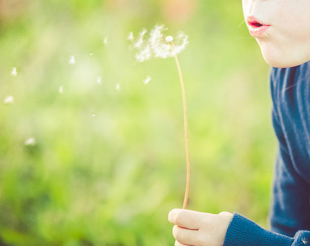 istock Girl blowing dandelion seeds 492631534