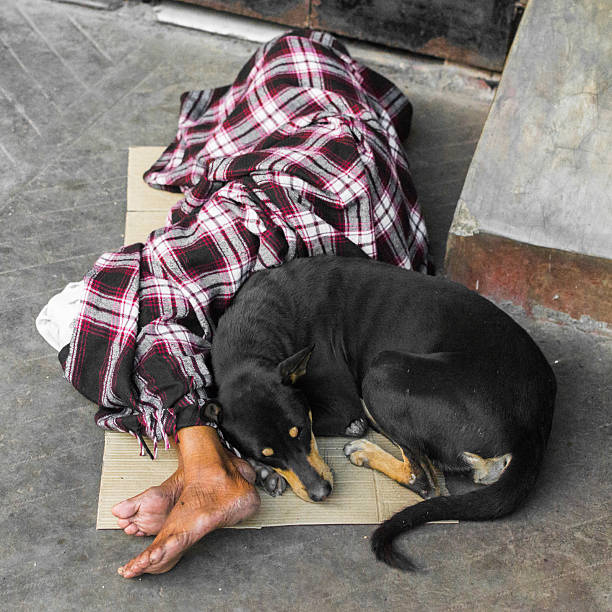 Kolkata, India - January 15, 2015: An unidentified person who is covered with a blanket lies on a piece of paperboard outdoors. There can be seen no face, only his feet. A sleeping dog nestles down along his legs.