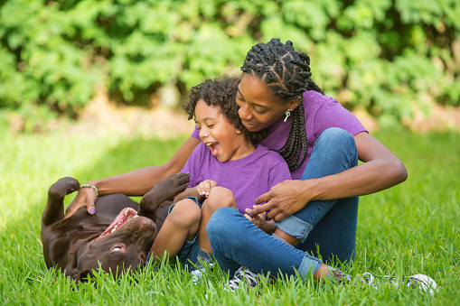Mother and son with a chocolate lab in the grass.