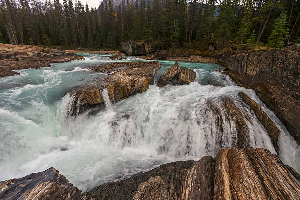 istock Natural Bridge at Yoho National Park in British Columbia 492641106
