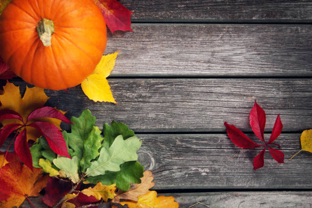 istock Pumpkin on old wooden background 492645508