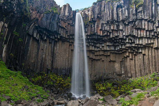 istock Svartifoss Waterfall, Skaftafell national park, Iceland 492645690
