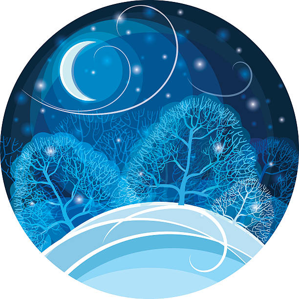 Winter night in the forest. Vector illustration. Vector illustration of a winter night in a forest. Magical winter forest, the moon is shining, the snow is falling. shades of blue stock illustrations