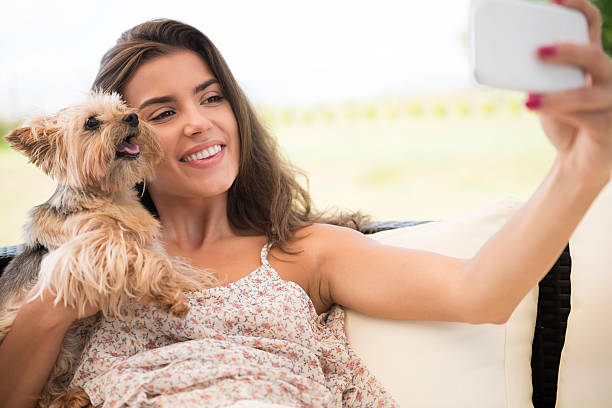 istock Let's take the selfie with little puppies 492648992