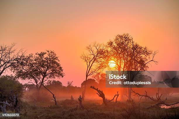 Africa Sunset Stock Photo - Download Image Now - 2015, Africa, Atmospheric Mood