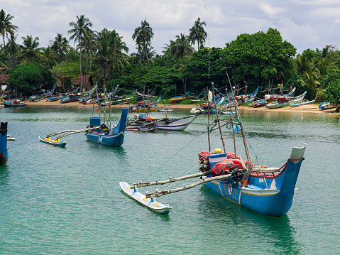 Morning view of Traditional Fishing boats at Mirissa harbor in Sri Lanka. Some of them are anchored in bay and others are tied to the pier. They have one side sky for balance while in background are shore palms and blue, cloudy sky.  