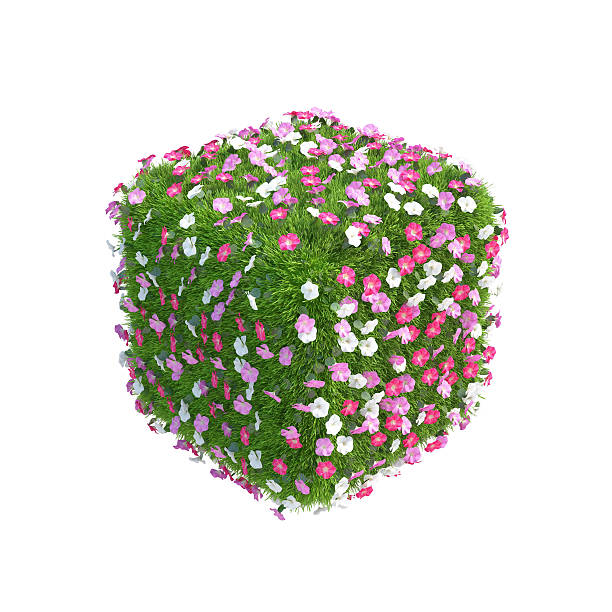istock Cube of fresh green grass with flowers isolated on white 492665134