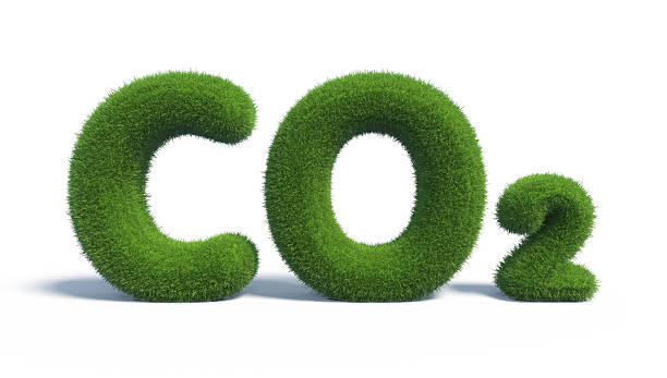 istock Symbols CO2 made of green grass. 3d render 492665336