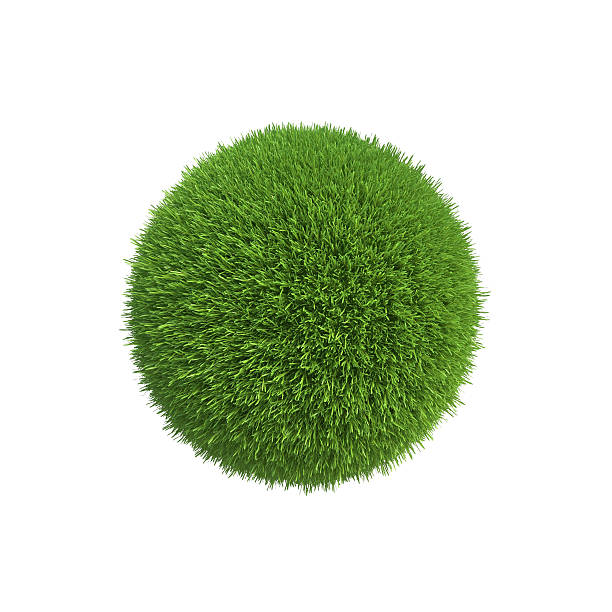istock Bowl of fresh green grass isolated on white background 492665436