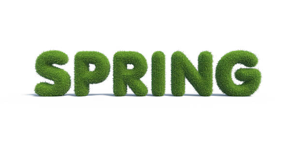 istock Symbols Spring made of green grass. 3d render 492665728