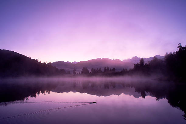 Lake Matheson And The Southern Alps At Dawn Dawn on New Zealand's South Island, and a duck glides across the mirror-like surface of Lake Matheson. mt cook photos stock pictures, royalty-free photos & images