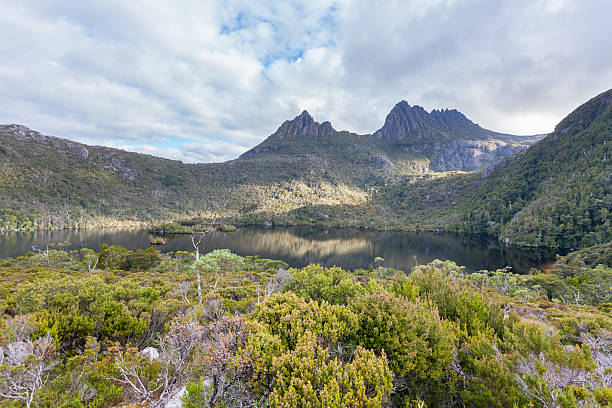istock Cradle Mountain and Dove Lake Tasmania 492669948