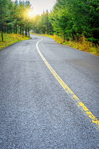 istock Asphalt road in forest at sunset 492673516