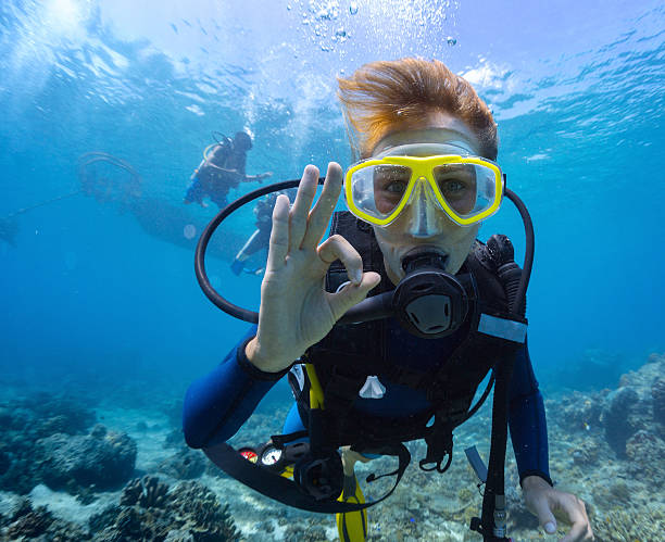 Diver Female scuba diver underwater showing ok signal diving into water stock pictures, royalty-free photos & images