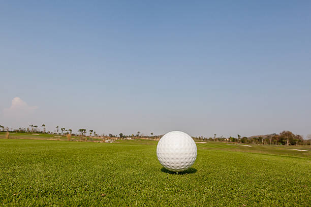 piłka do golfa na trawie z zielonym tle. - teeing off zdjęcia i obrazy z banku zdjęć