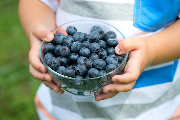 istock little cute boy holding bowl with blueberries 492677865
