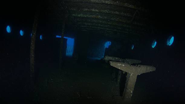 istock Inside view of Boga Shipwreck, Bali, Indonesia 492678346