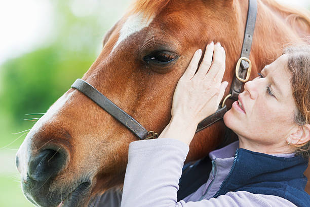 istock Female veterinarian performing chiropractics 492679245