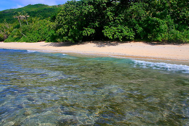 istock Paradise tropical deserted beach in Fiji Islands, Pacific 492679691