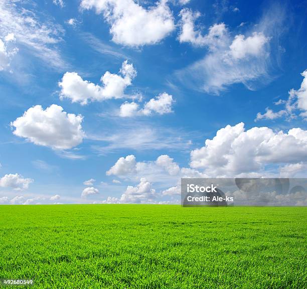 Campo Foto de stock y más banco de imágenes de Agricultura - Agricultura, Aire libre, Azul