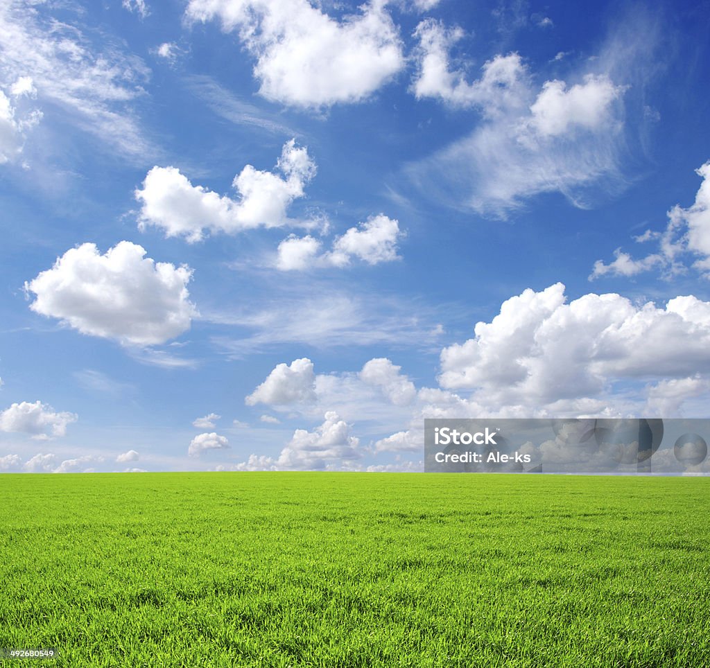 campo - Foto de stock de Agricultura royalty-free