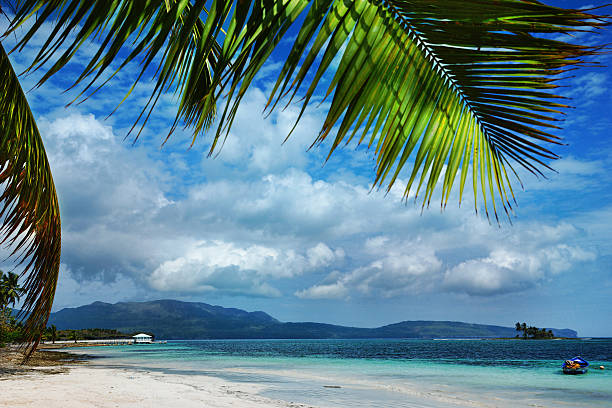 istock Jungle and Sea Under Trees, Playa rincon, Samana 492680617
