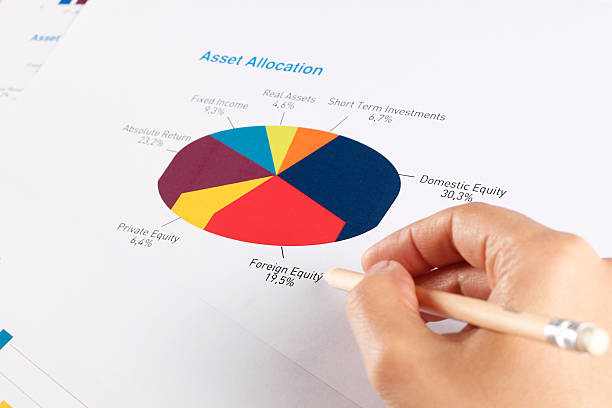 istock Business Graphs and Charts - Asset Allocation 492681363