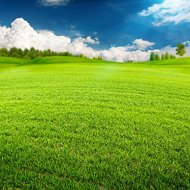 istock Summer time, abstract environmental backgrounds for your design 492682679