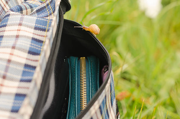 bolsa en la naturaleza - change purse purse clutch bag red fotografías e imágenes de stock