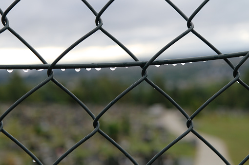 raindrops on a fence after rain