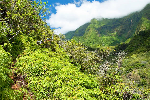 Iao Valley State Park on Maui Hawaii