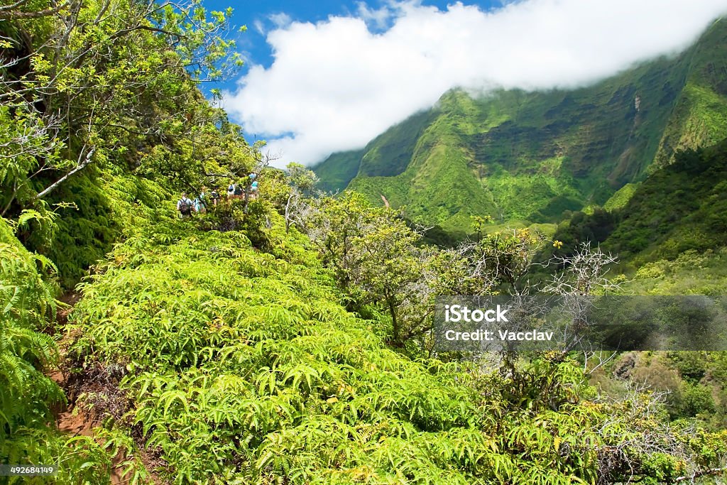 Iao Valley State Park on Maui Hawaii Valley Stock Photo