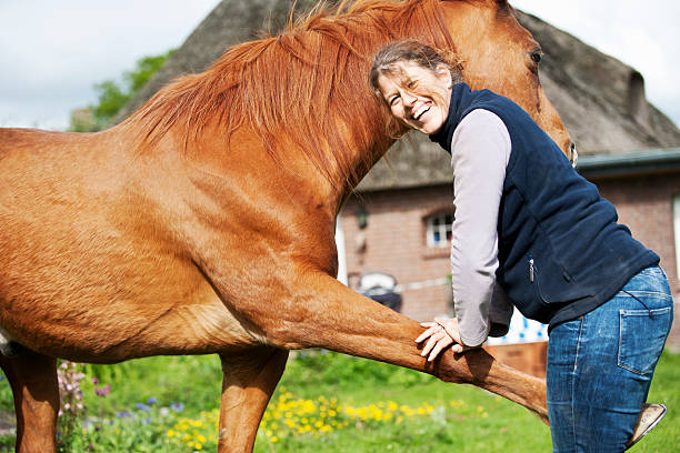 istock Female veterinarian performing chiropractics 492684319