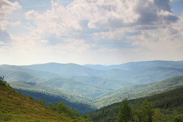istock Nature. Green mountain landscape in the summer 492684753
