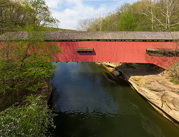 istock Narrows Covered Bridge at Turkey Run 492684975
