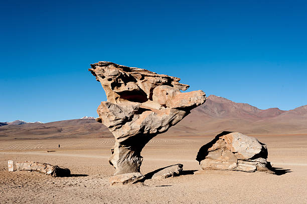 istock The South West circuit in Bolivia 492685483