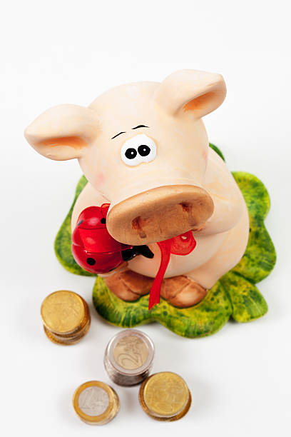 istock Piggy bank with Euro on white background 492694010
