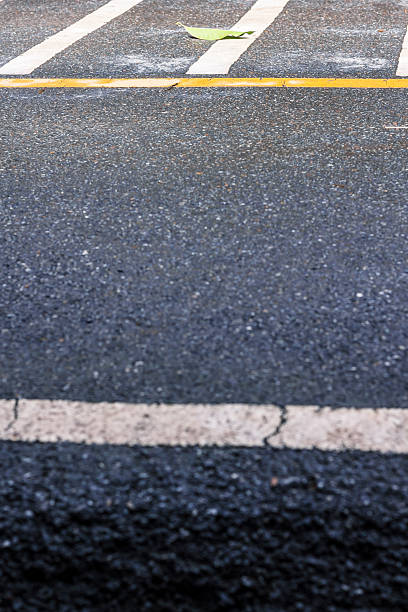 istock Leaf on the street 492694058