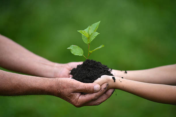 istock Care of nature 492694944