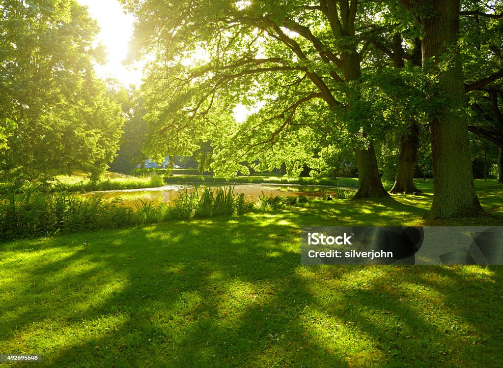 Parque de verano en Hamburgo, Alemania - Foto de stock de Parque público libre de derechos