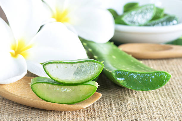 istock Aloe Vera use in spa for skin care 492696580