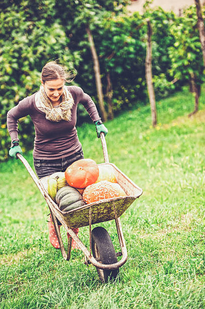 istock Woman Enjoying in her Vegetable Garden 492699512