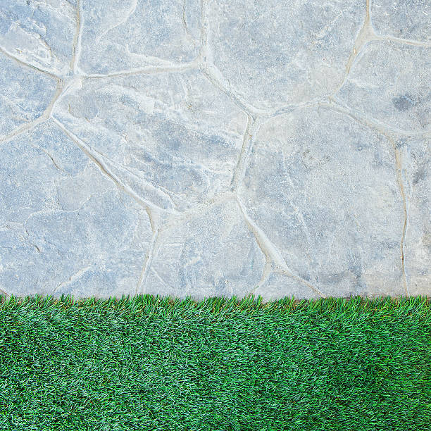 istock fresh spring green grass in the park. 492702338