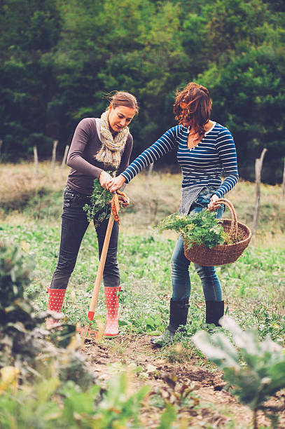 istock Two Women Enjoying in a Garden 492702726