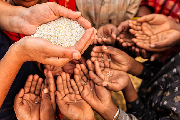Poor Indian children asking for food, India Volunteer caucasian woman giving rice to hungry Indian children. Poor Indian children keeping their hands up and asking for support. india poverty stock pictures, royalty-free photos & images