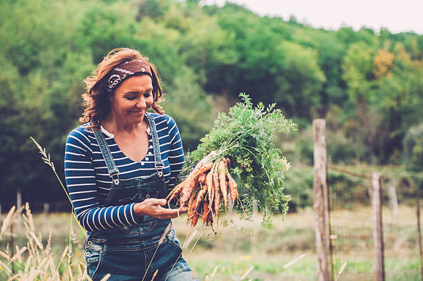 mulher a gostar de jardim vegetais - gardening vegetable garden action planting imagens e fotografias de stock