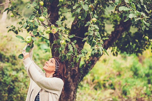 femme appréciant dans son jardin - gardening vegetable garden action planting photos et images de collection