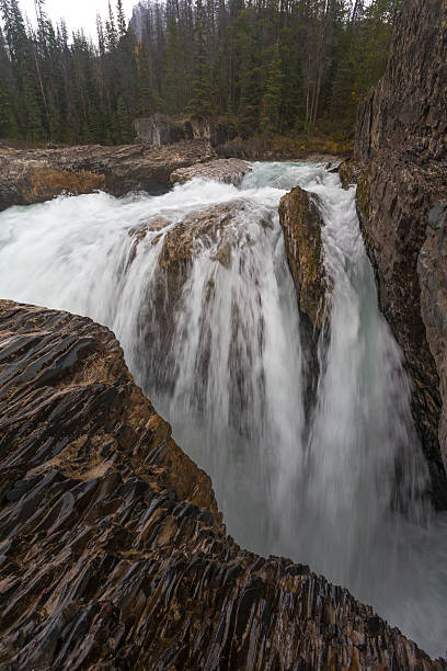istock Natural Bridge at Yoho National Park in British Columbia 492704438