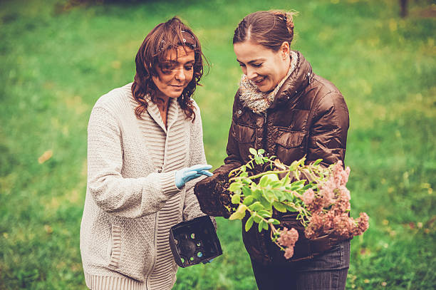 istock Two Women Enjoying in a Garden 492704512