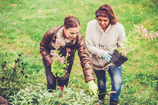 istock Two Women Enjoying in a Garden 492704640